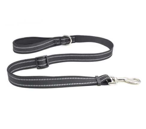 Nylon Retractable Assisted Pet Leash For Outdoor Use