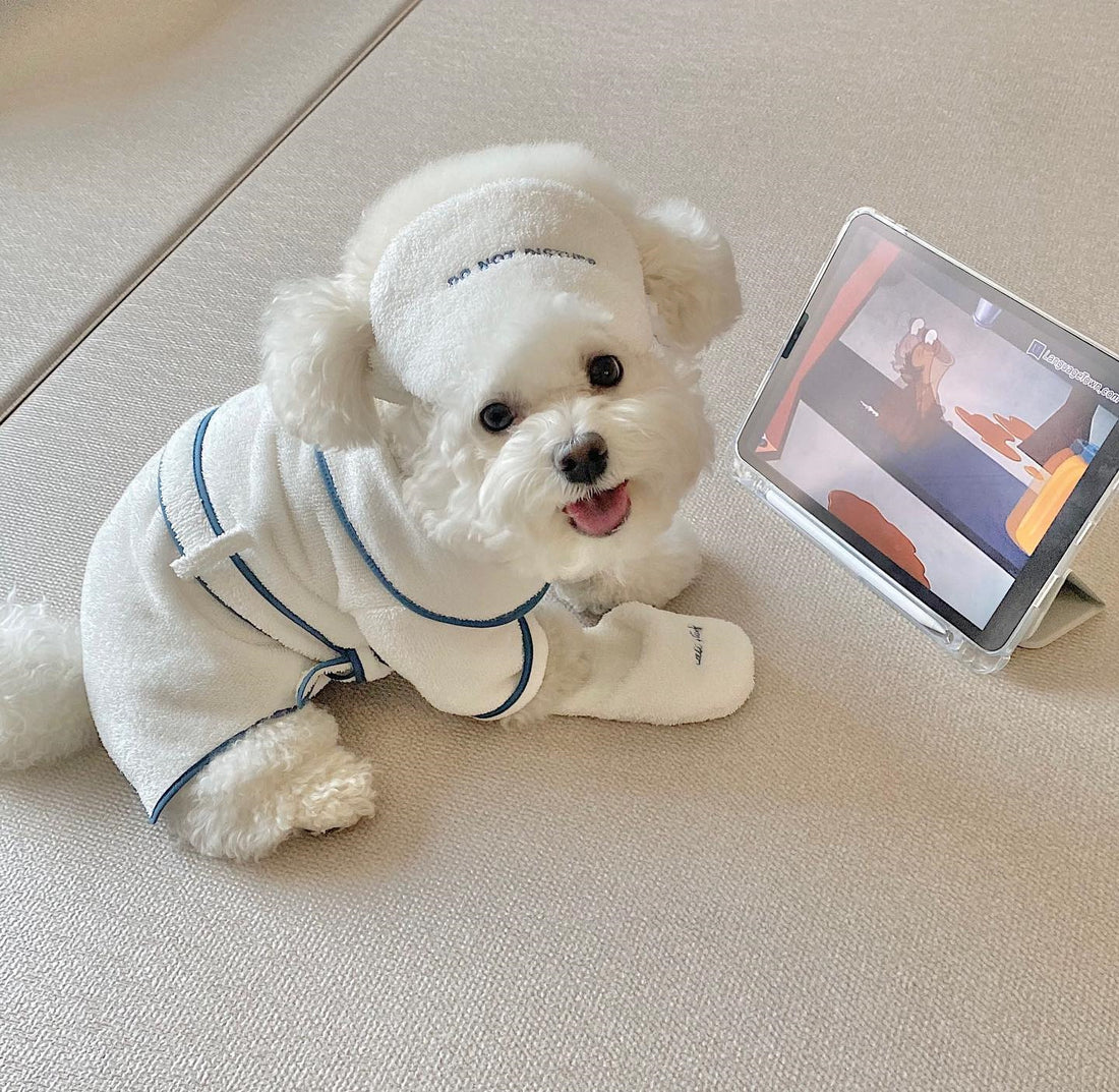 Pet Bath Towel Bathrobe Photo Prop