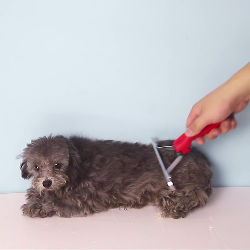 Extra Large Pet Rake Comb Deshedding Grooming Tool