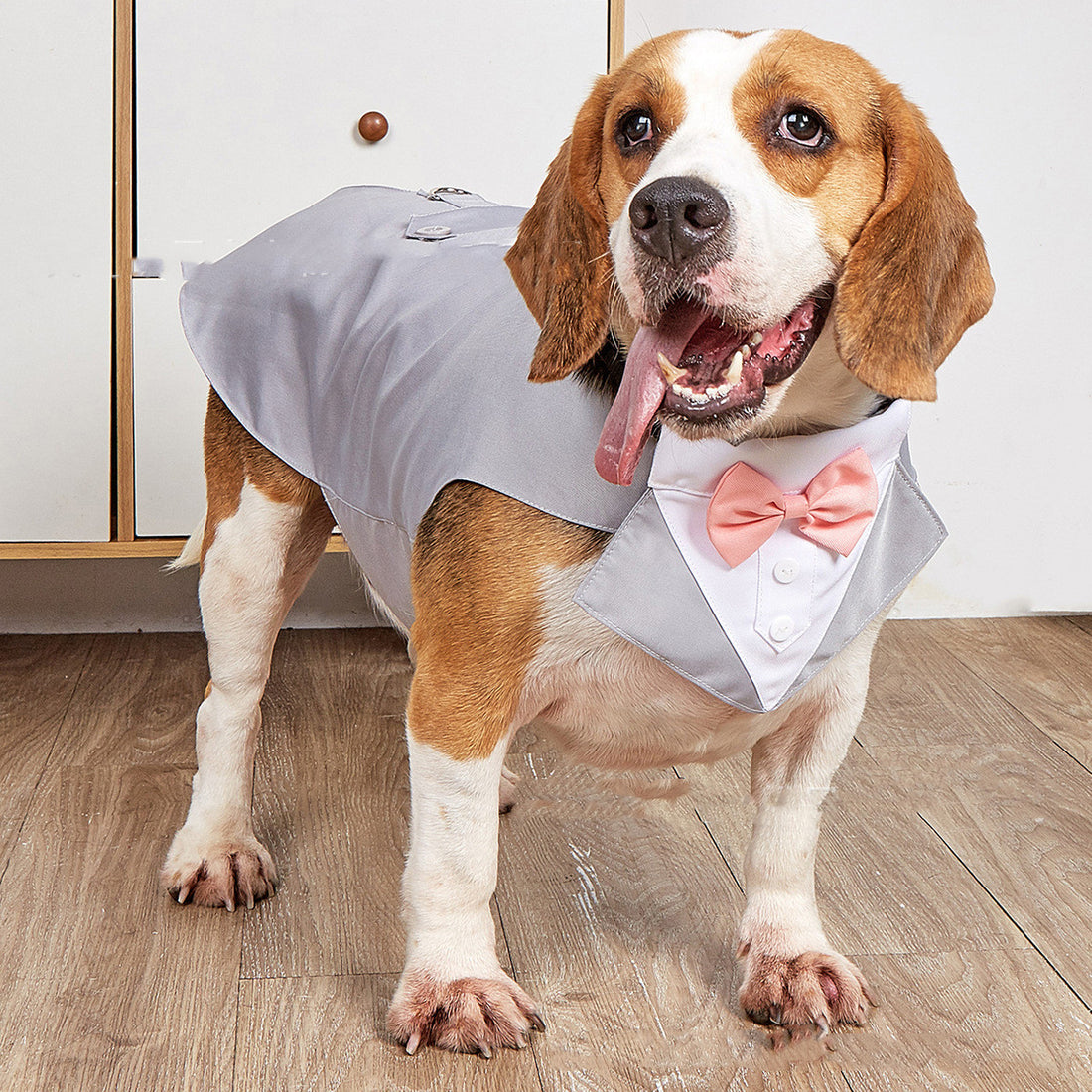 Pet Swallowtail Wedding Suit Jacket Clothing