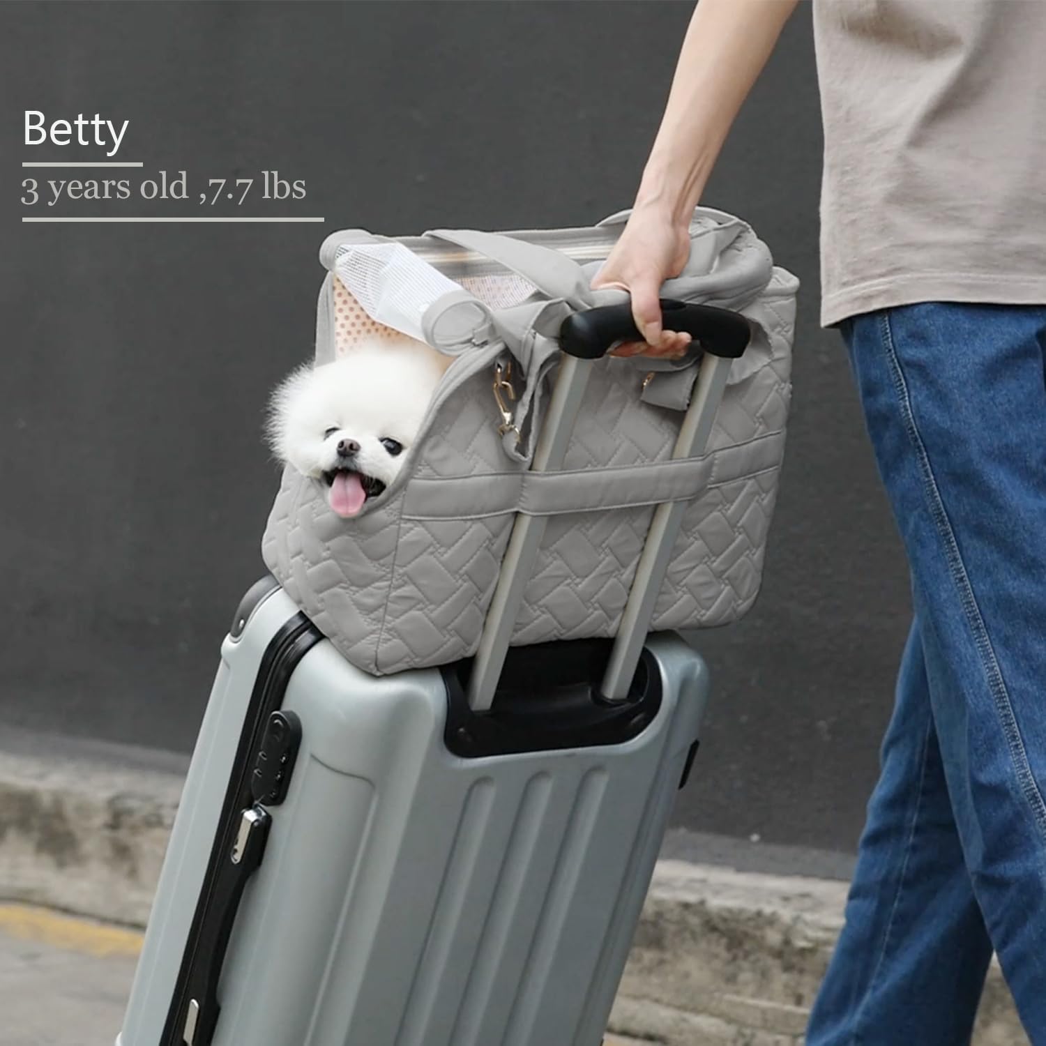 Breathable Pet Carrier Tote With Pockets And Cushion