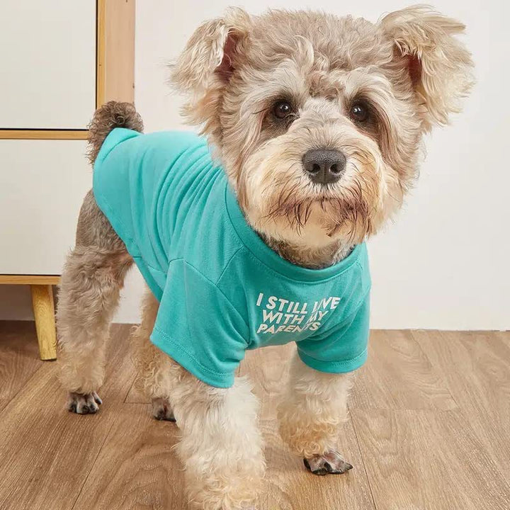 Pet Round Neck T-Shirt Clothing