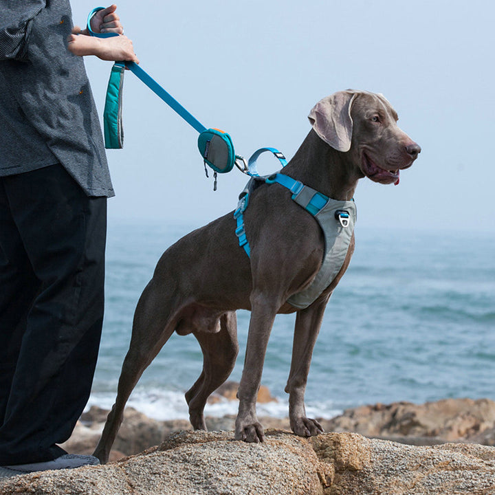 Pet Chest Strap Leash With Storage Bag