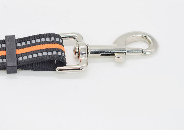 Nylon Retractable Assisted Pet Leash For Outdoor Use