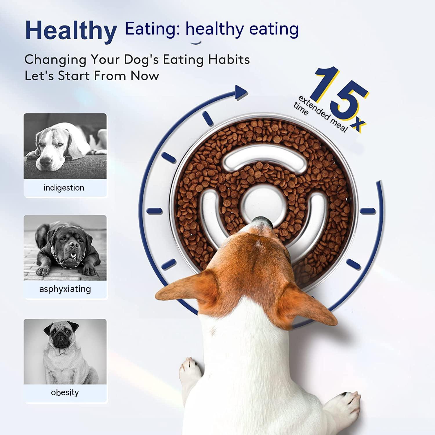 Stainless Steel Pet Slow Feeding Bowl With Neck Protection