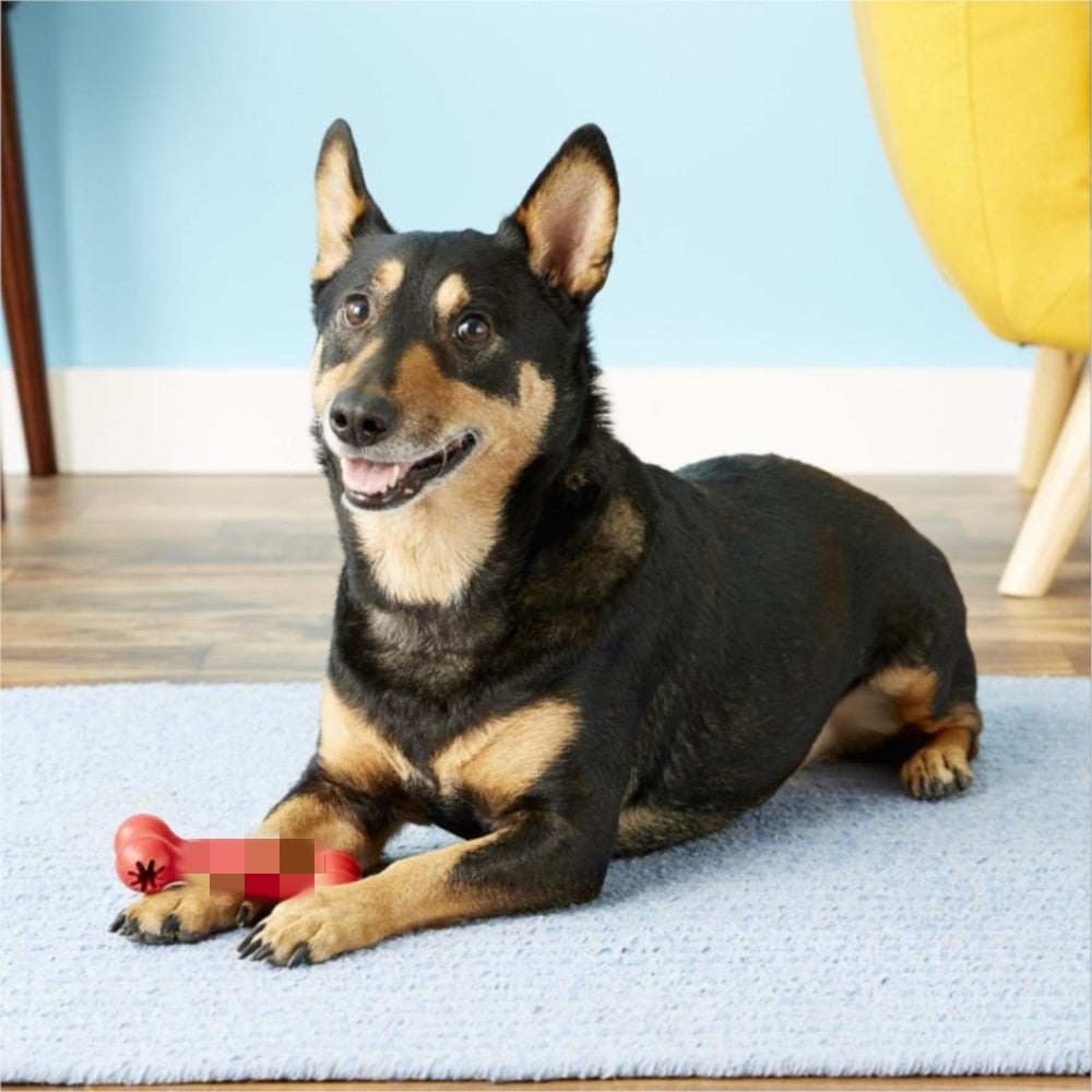 Pet Bite Resistant Rubber Chew Teeth Grinding Toy