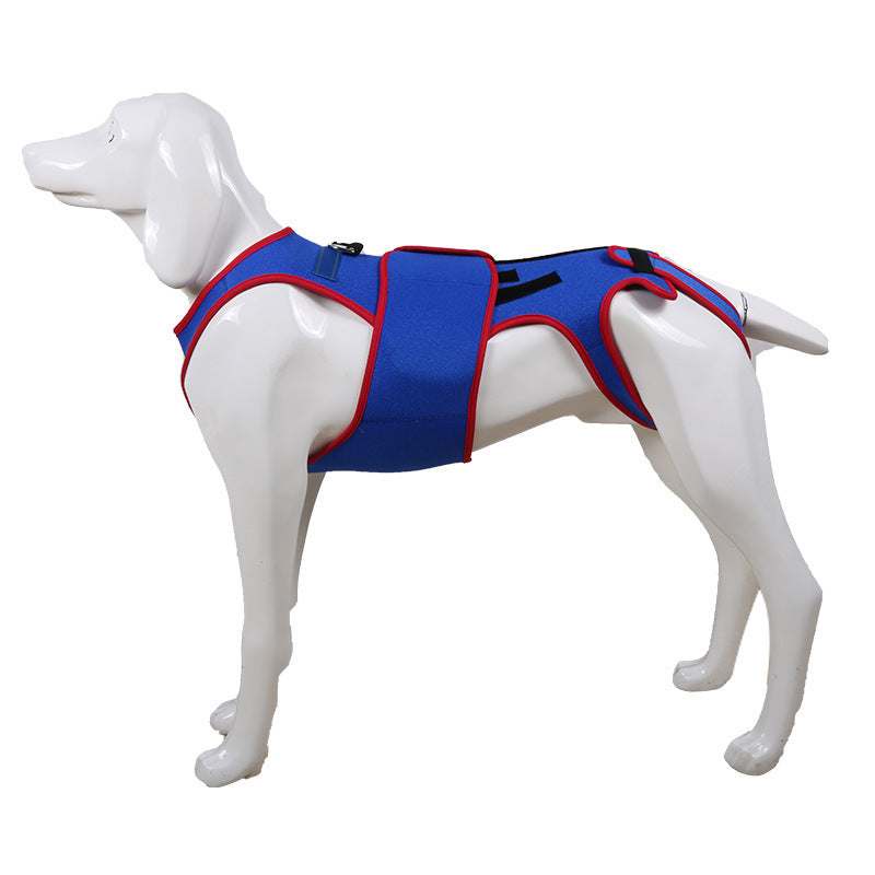 Pet Spine Support Posture Correction Jacket Clothing