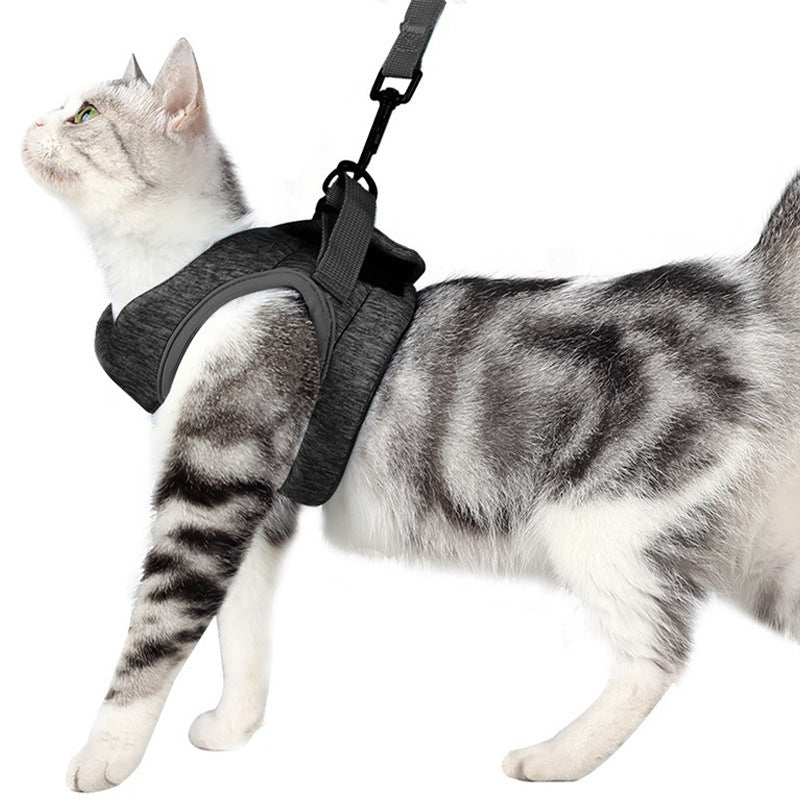 Breathable Lightweight Pet Chest Strap Lace Leash