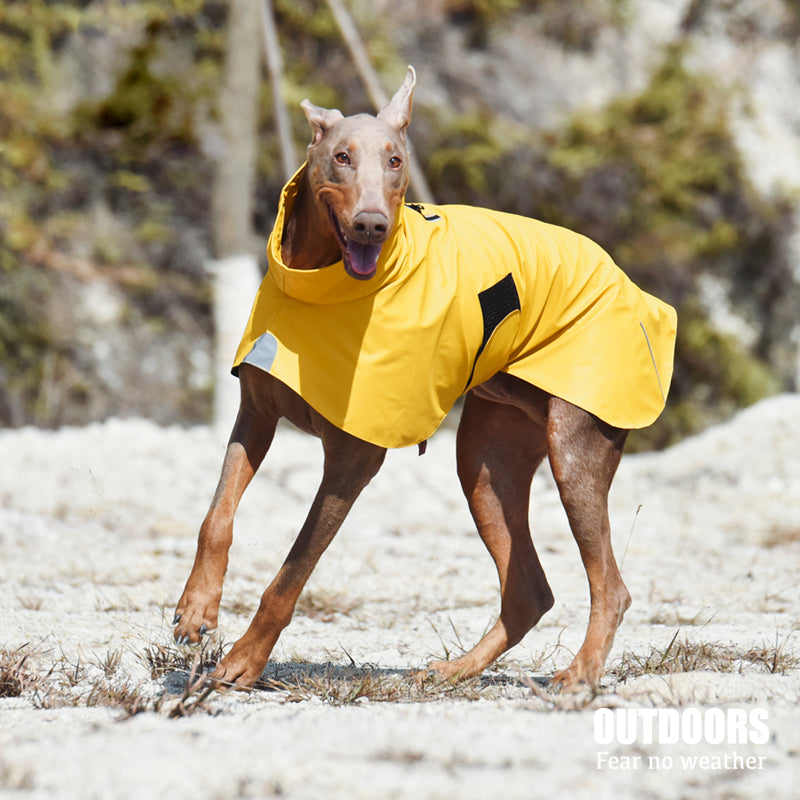 Pet Waterproof Windproof Shell Raincoat Jacket Clothing