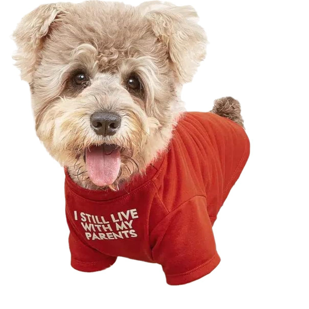 Pet Round Neck T-Shirt Clothing