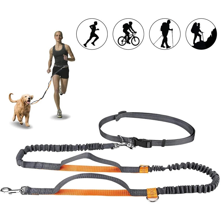 Pet Adjustable Harness Collar Jogging Leash