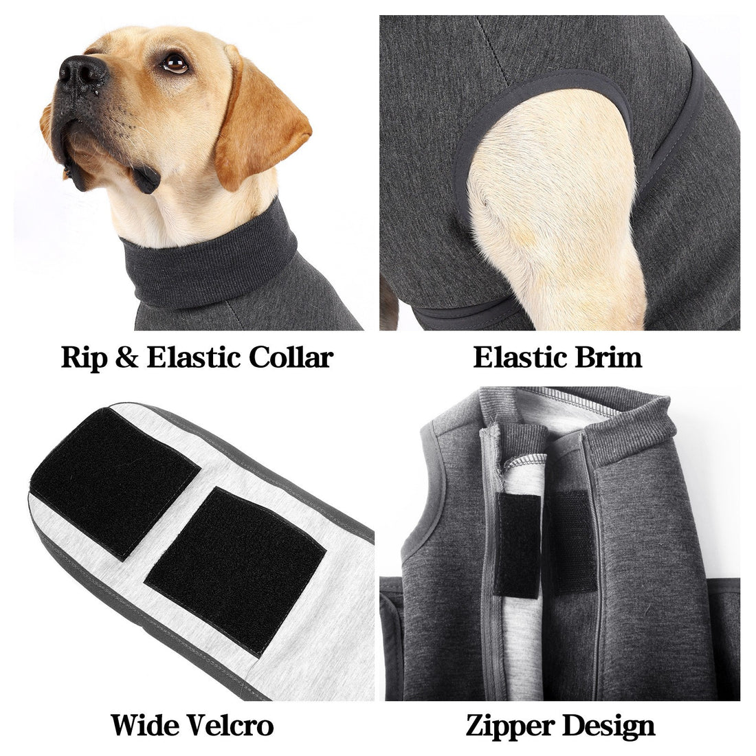 Pet Polyester Emotional Comfort Cotton Double Jacket Clothing