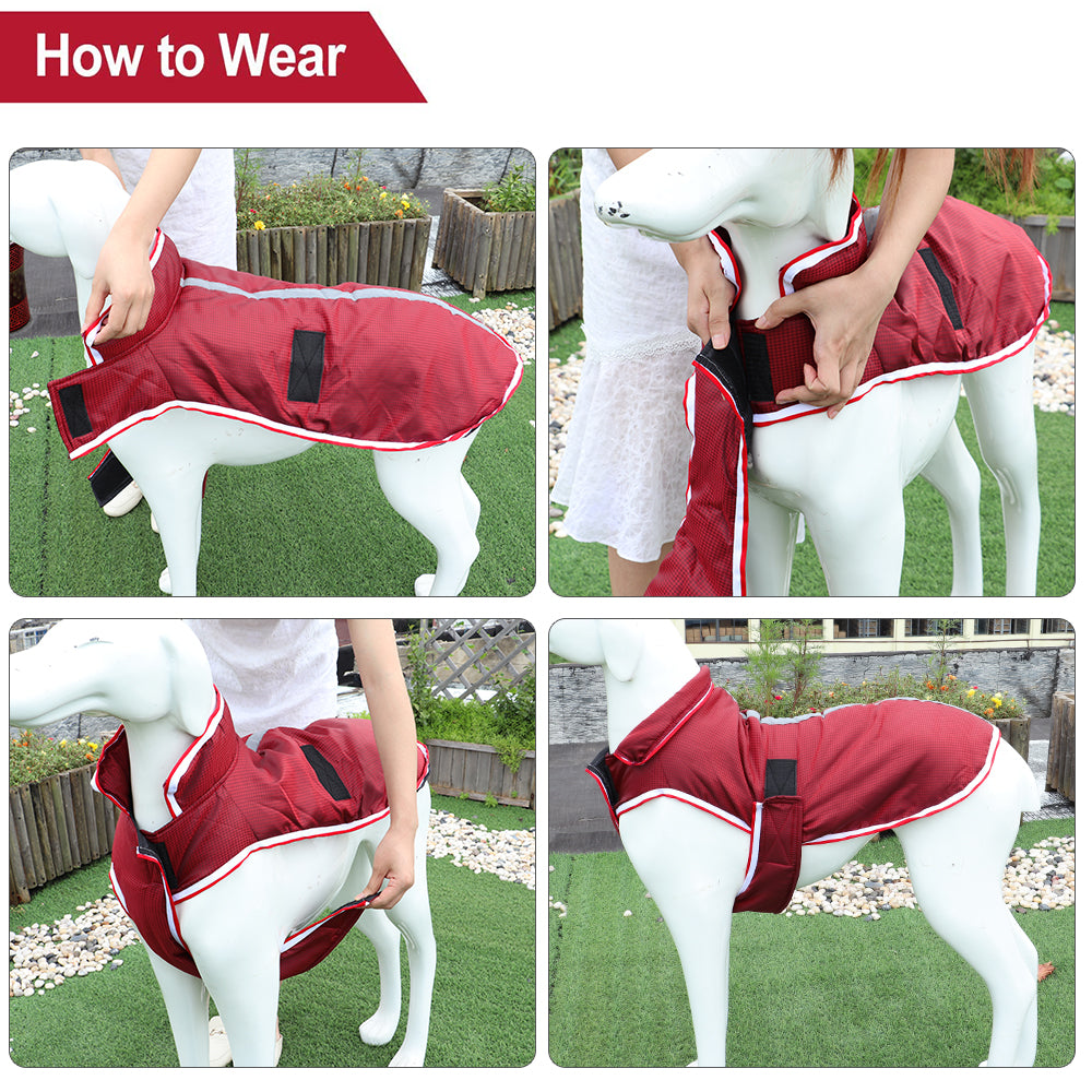 Pet Autumn Winter Warm Waterproof Leisure Jacket