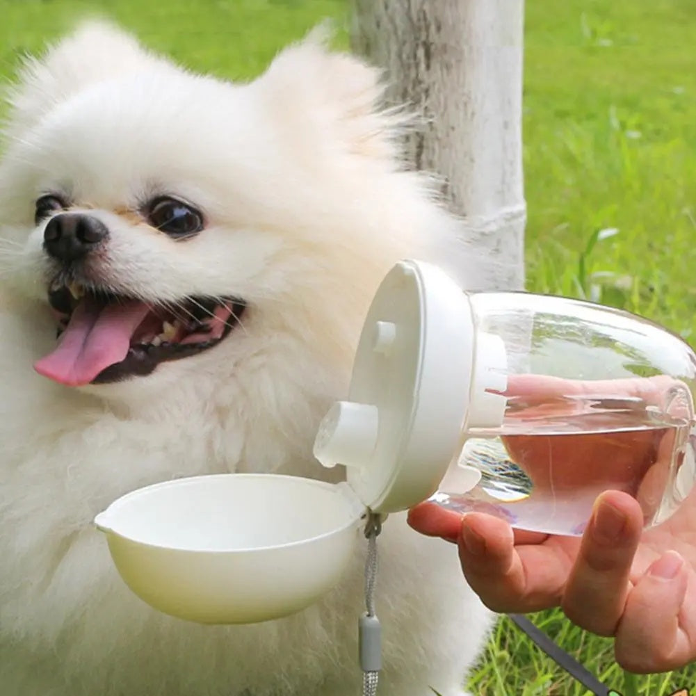 Portable Pet Water Bottle With Feeding Bowl For Travel