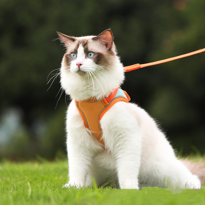 Reflective Anti-Escape Pet Harness With Adjustable Leash