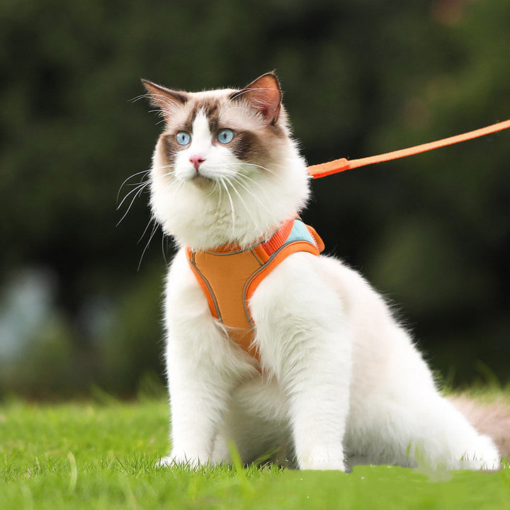 Reflective Anti-Escape Pet Harness With Adjustable Leash