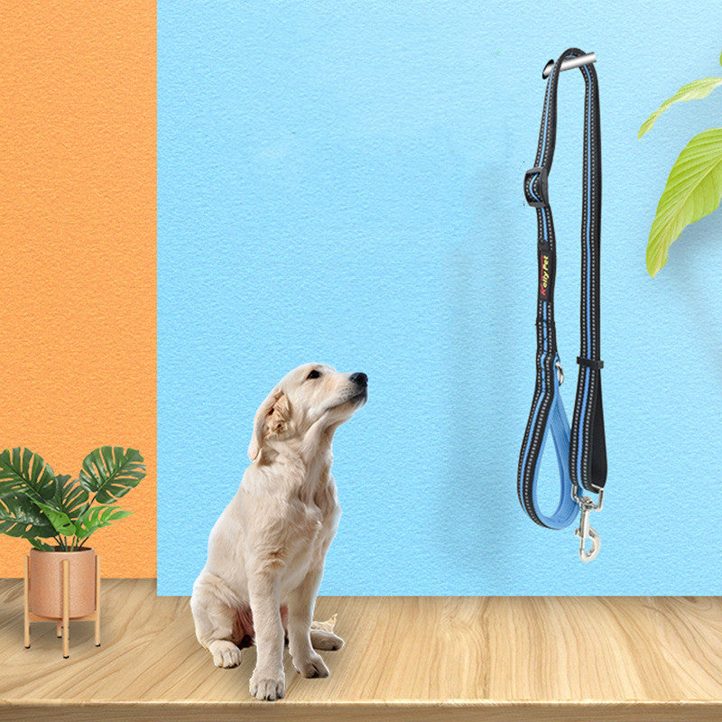Nylon Retractable Assisted Pet Leash For Outdoor Use
