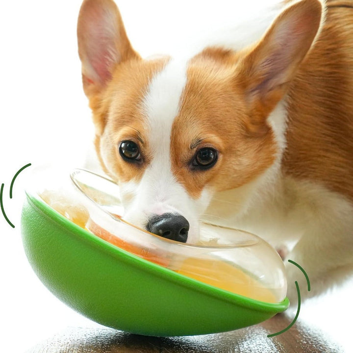 Pet Anti Tumble Avocado Feeding Bowl