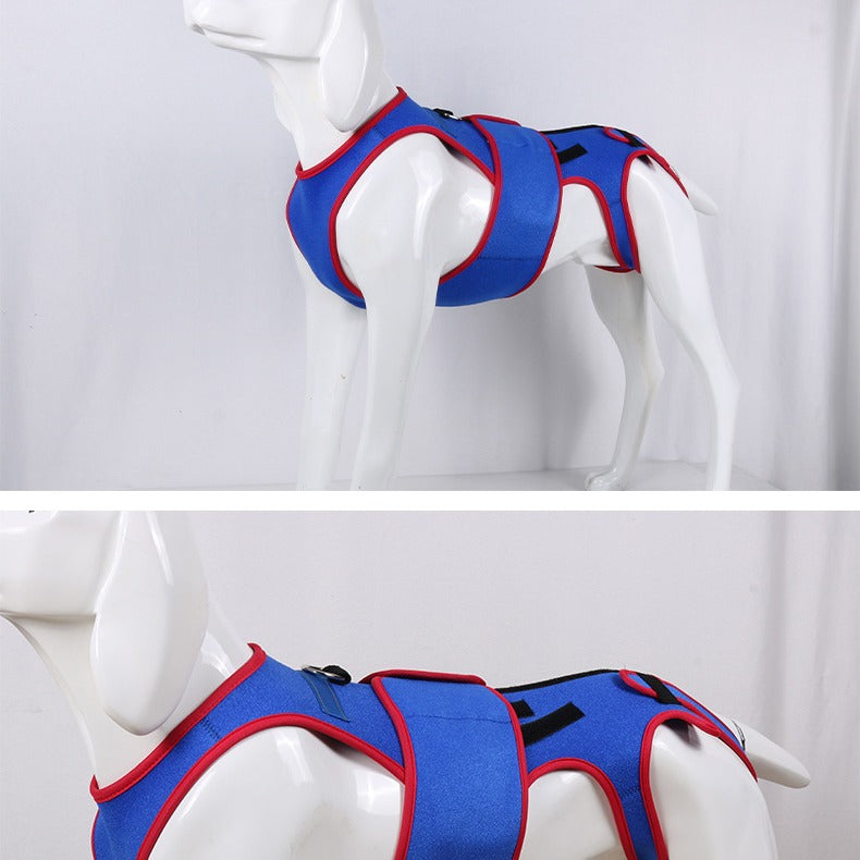 Pet Spine Support Posture Correction Jacket Clothing