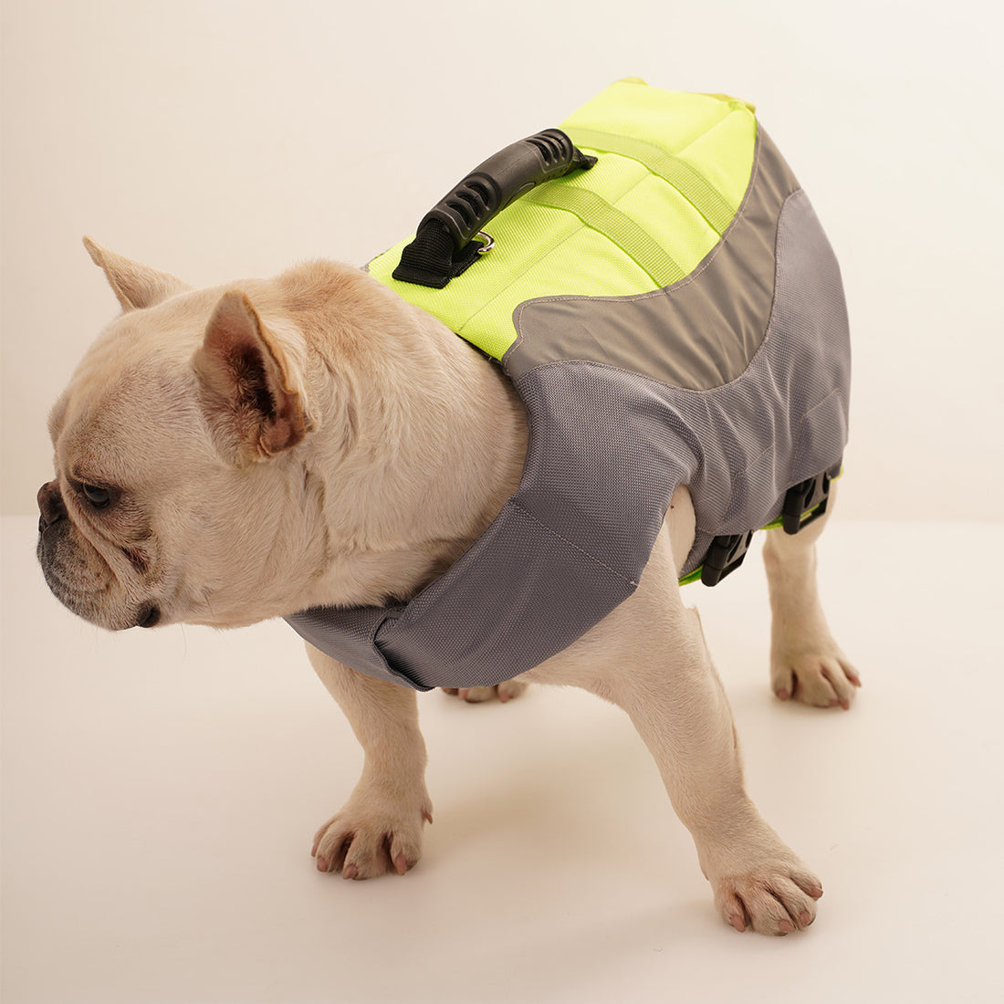 Reflective Pet Swimsuit And Life Jacket