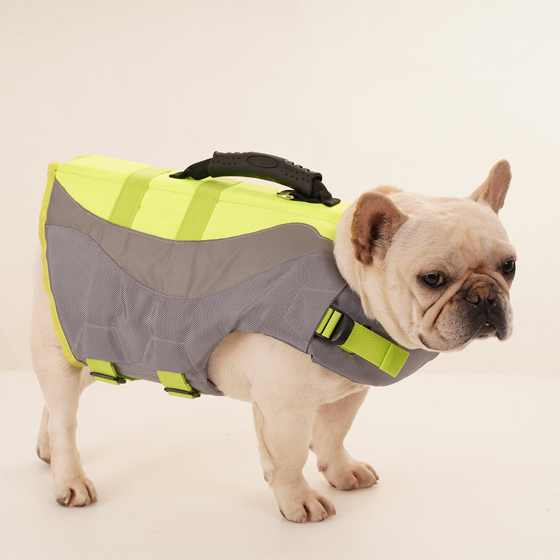 Reflective Pet Swimsuit And Life Jacket