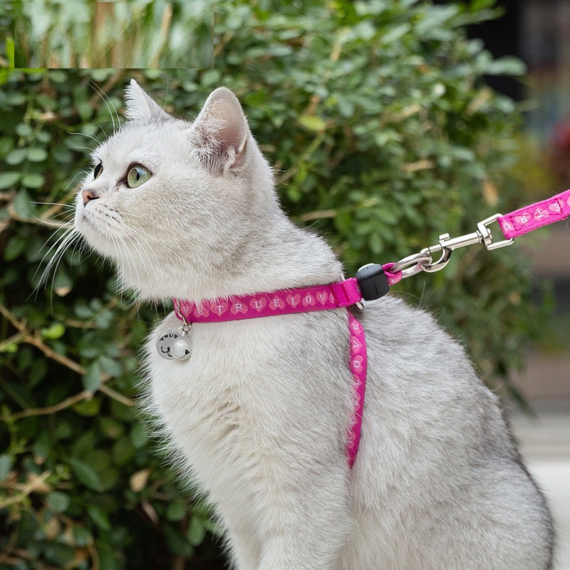 Pet Bell Chest Harness With Leash Vest Package