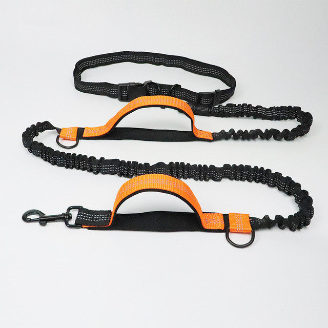 Pet Adjustable Harness Collar Jogging Leash