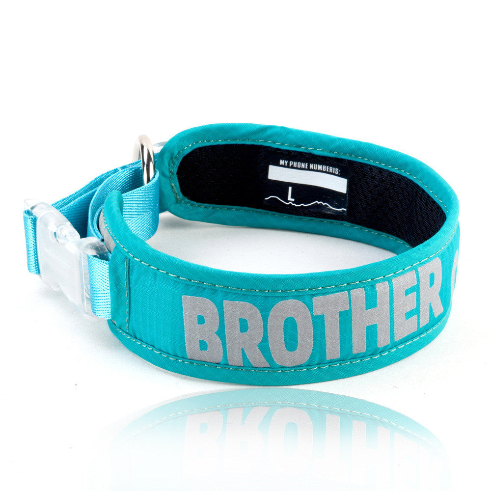 Pet Chest Strap Leash With Storage Bag